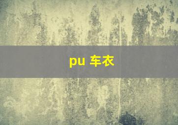 pu 车衣